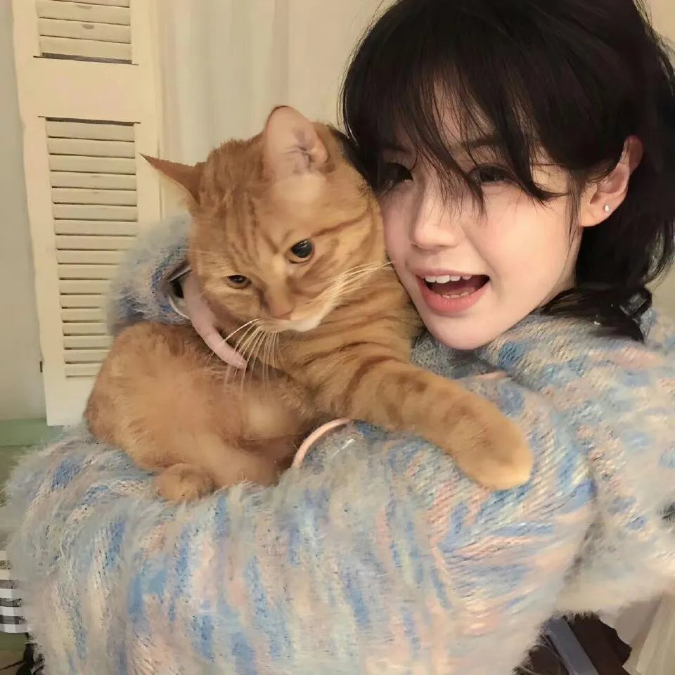 超能敢死队：冰封之城 2024